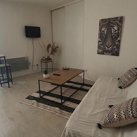 Studio Cosy Au Coeur De Millau Eksteriør bilde